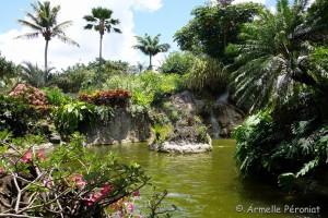 Guadeloupe Août 2015-02728   